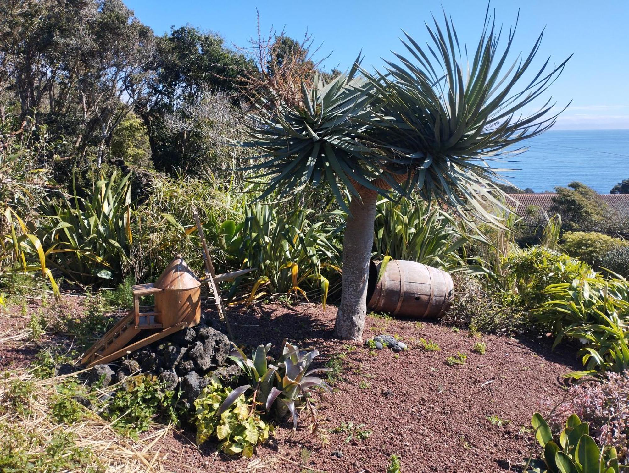 Villa Lobo Do Mar Calheta de Nesquim Esterno foto