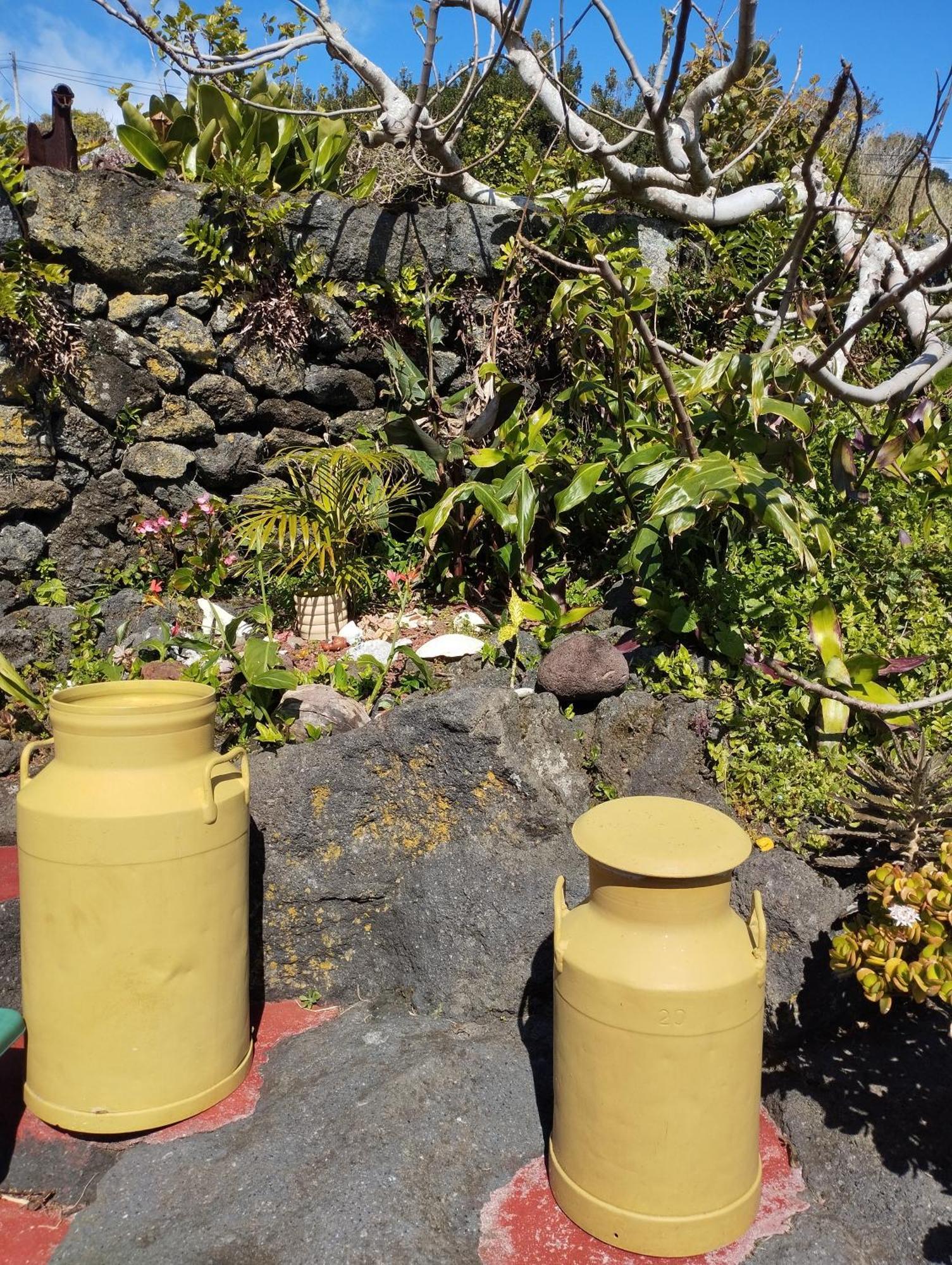 Villa Lobo Do Mar Calheta de Nesquim Esterno foto